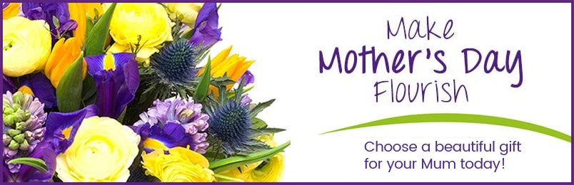 mothersday-banner1 mothersday-banner1